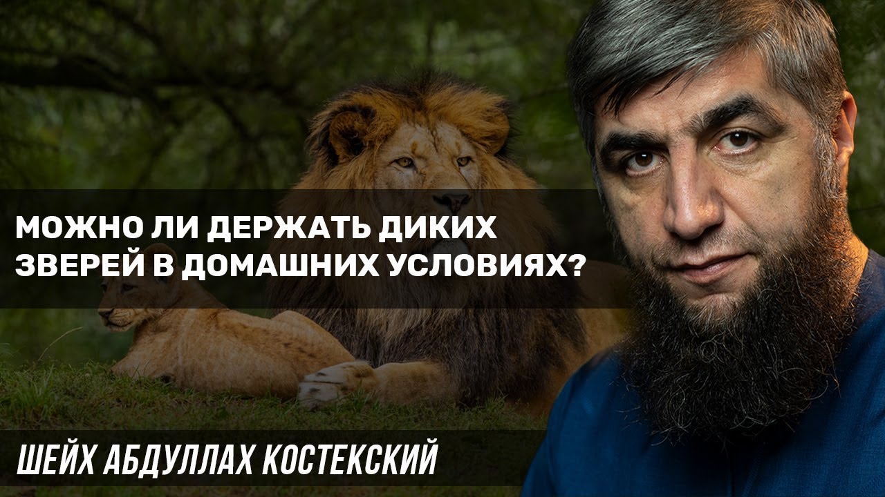 Можно ли держать диких зверей в домашних условиях? YouTube