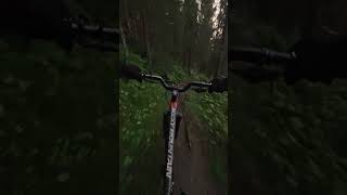 Flying Through Gnarly Ruts And Roots