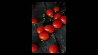 Domates Fiyatları Tomatoes Price