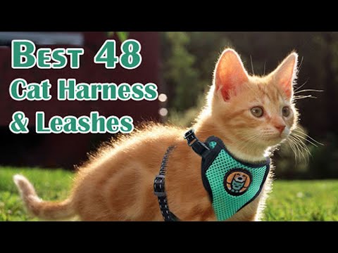 Ultimate Adventure Kitty Harness: Escape-Proof Cat Harness and Leash for Walking