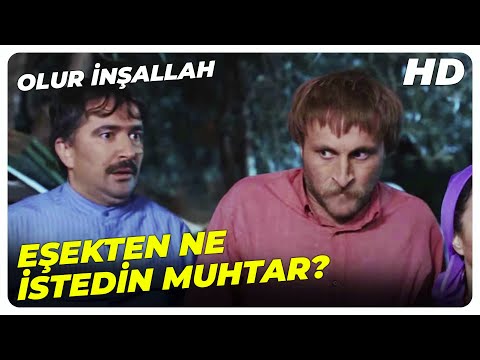 Muhtar, Ahırda Eşekle Basılıyor | Olur İnşallah Filmi En İyi Sahneler