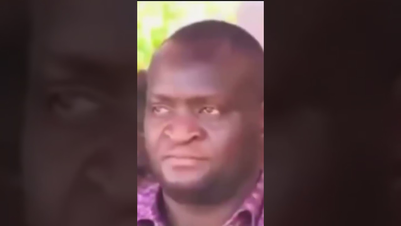 Дидмус Бараза: Возвращение дикой природы