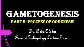 GAMETOGENESIS PART II - THE PROCESS OF OOGENESIS