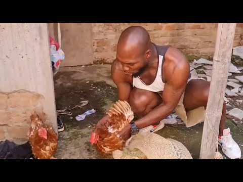 Don Juacundo Le da de comer de sus mismas gallinas a don Ciriaco 😱 