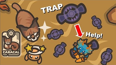 Taming.io - New Caracal Pet & Bear Traps