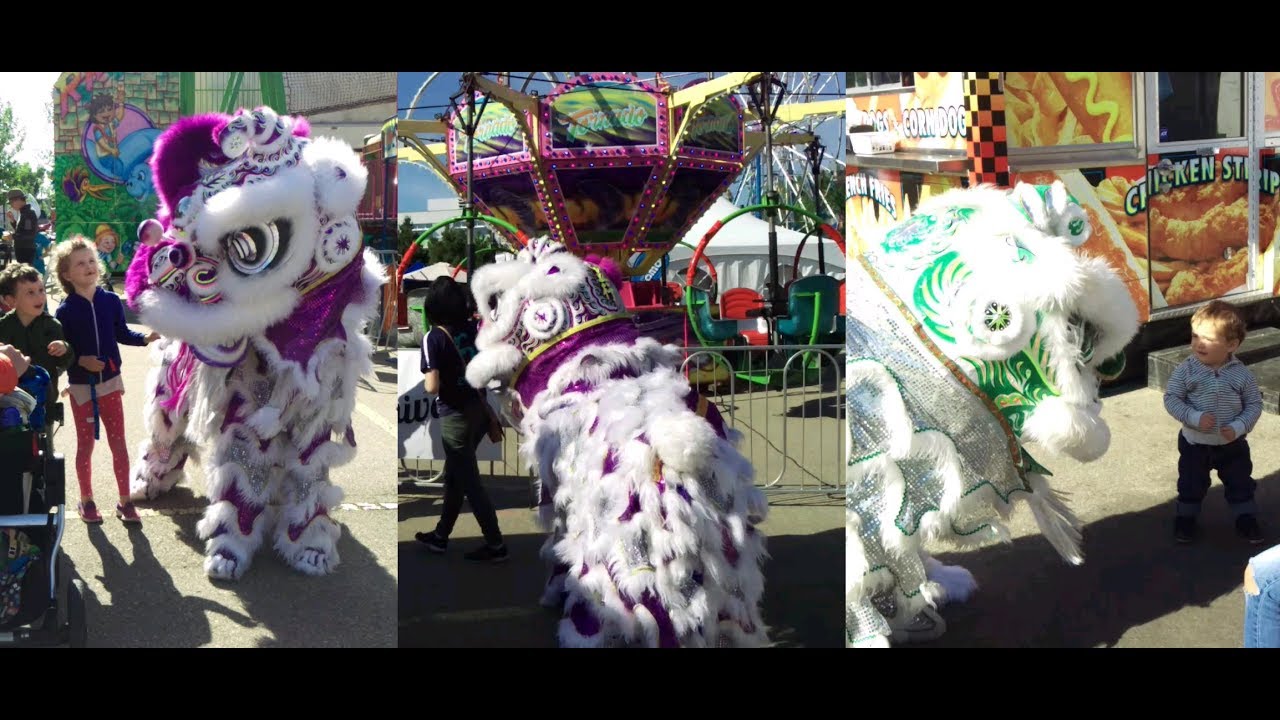 Sustainival 2017 - 5 Elements Lion Dance