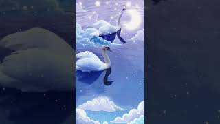 #night #ambientmusic #nature
