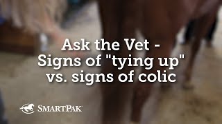 Ask the Vet  Signs of 'tying up' vs signs of colic