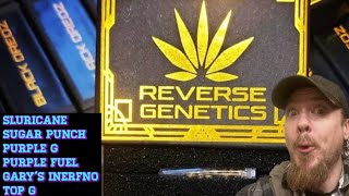 Beginners guide how to grow weed organically with gaia green sponsored by Reverse Genetics day 1-17
