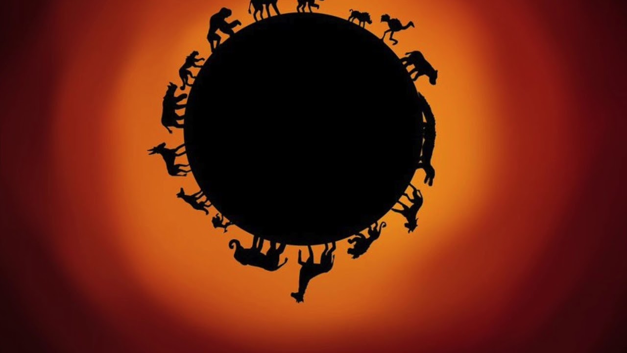 Circle Of Life by J.T. Peterson (Sky Productions) camera iphone 8 plus apk