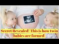 Secrets Revealed! This is how twin babies are formed!