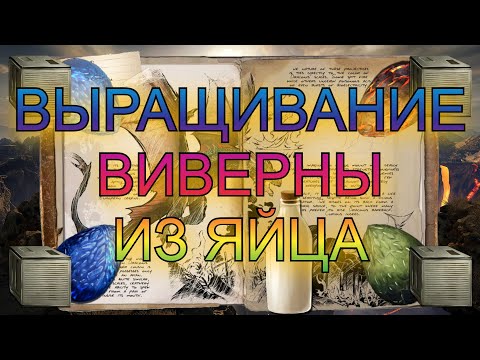 ВЫРАЩИВАНИЕ ВИВЕРНЫ ИЗ ЯЙЦА