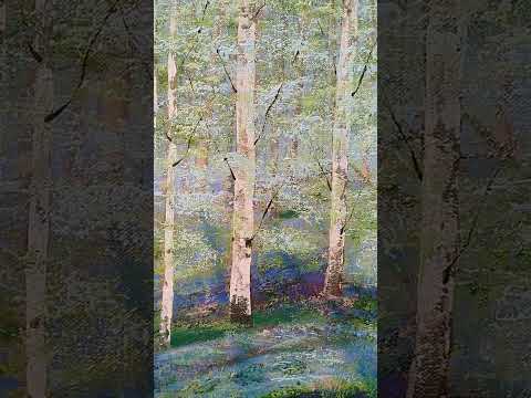 Dappled Light, Woodland Path