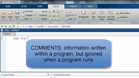 02 ERAU EGR115 The Editor & Variables