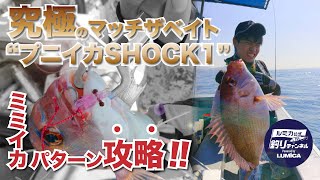 【実釣動画】ミミイカパターン攻略‼︎　究極のマッチザベイト”プニイカSHOCK1”