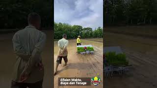 Download Lagu Jasa Tanam Padi dari BUMDES Kenokorejo MP3