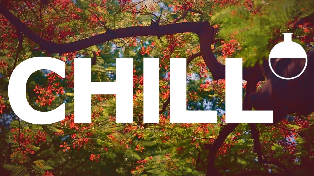 4-Hour Ambient Relaxation with Nature Visuals | Ultimate Relaxing Music for Tranquility 🌷✨