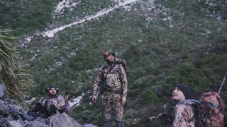 Mid winter tahr hunt .