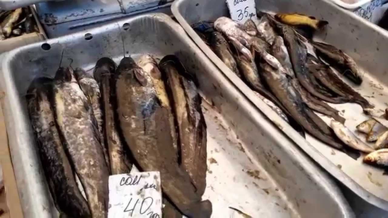 Браконьеры на оке