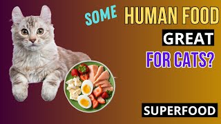 Top 12 Human Foods actually Good for Cats by Superfoods for CATS 264 views 1 month ago 6 minutes, 38 seconds