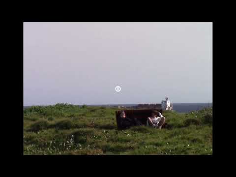 Mira Royel Otis - Razor Teeth (Official Music Video) en YouTube