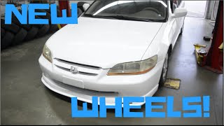 Honda Accord Gets New Wheels!!