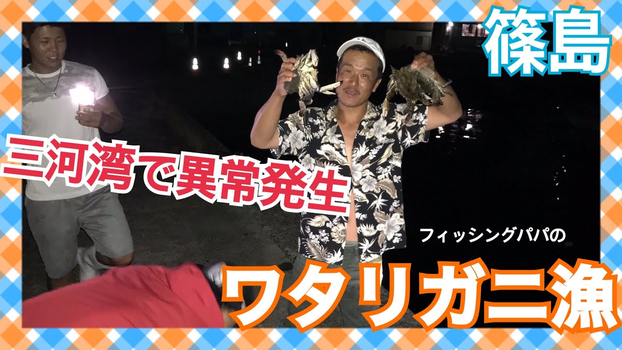 ワタリガニ 篠島 渡り蟹 Youtube