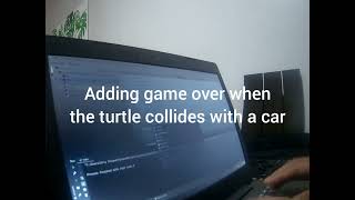 Turtle Road Crossing Game Programming