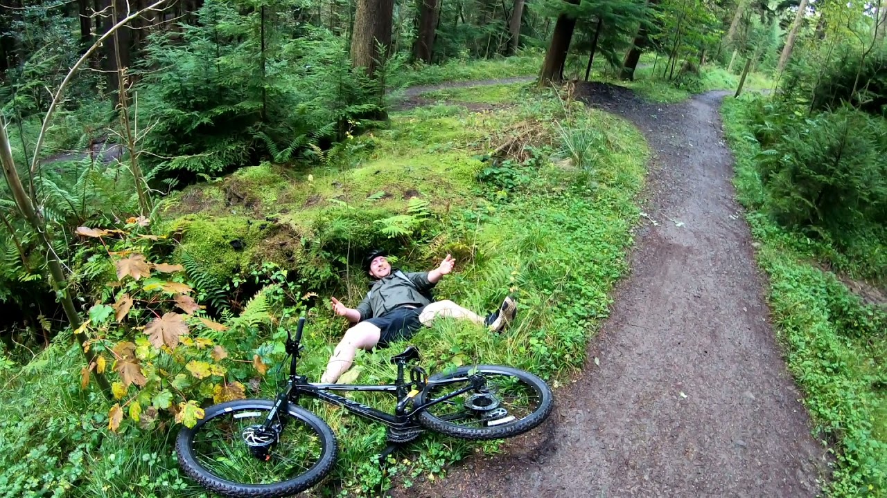 Hamsterley forest Skills Loop & Red Route