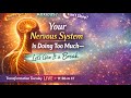 From Buzzed to Balanced: Nervous System Care as a Spiritual Practice