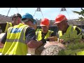 Behind-the-scenes look at the installation of the English Oak - London