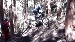 20100425-1.wmv