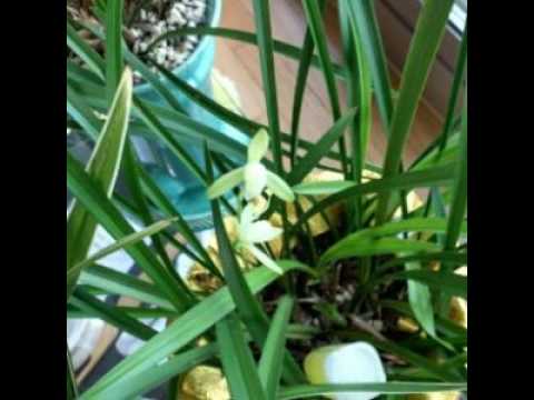 [TJ노래방라운지] 개여울 - 정미조