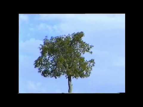 Watch Forma Norte - SABLE on YouTube Watch Forma Norte - SABLE on YouTube