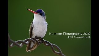 Hummer Photography 2019