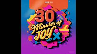 Gqomlord  30 Minutes Of Joy Mix  Gqom Mix 2025