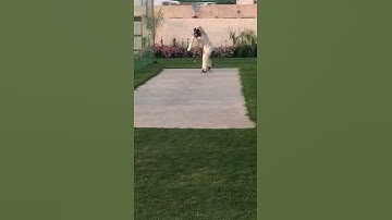 Leverage Yantra - Bowling Machine