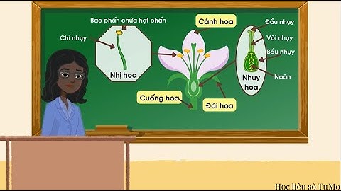 Cơ quan sinh sản của thực vật có hoa - Khoa học lớp 5