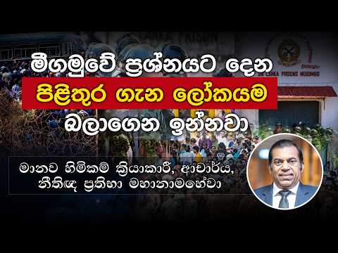 මීගමුවේ ප්‍රශ්නයට දෙන පිළිතුර ගැන ලෝකයම බලාගෙන ඉන්නවා