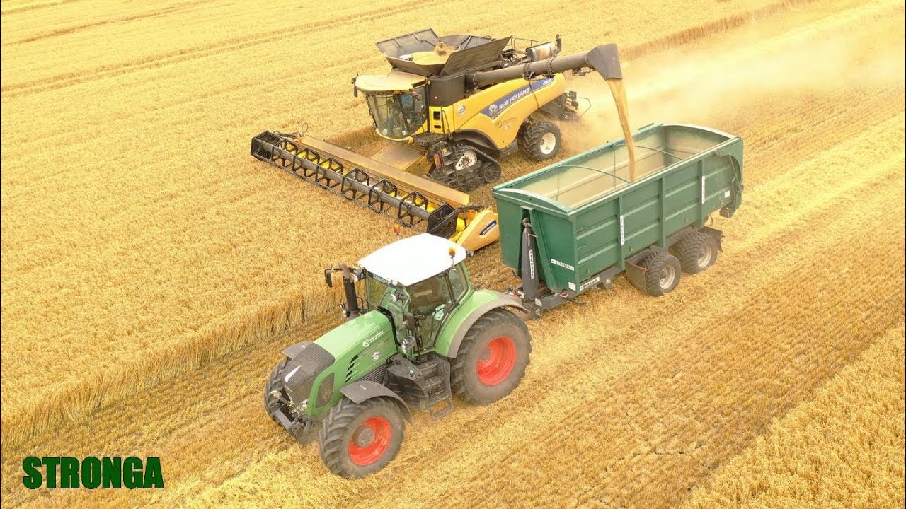 Grain Harvest in England - EJ Morris & Son | Stronga, New Holland, Fendt