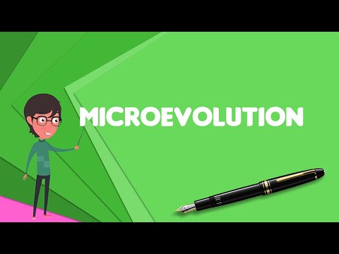 วีดีโอ: Speciation macro หรือ micro evolution?