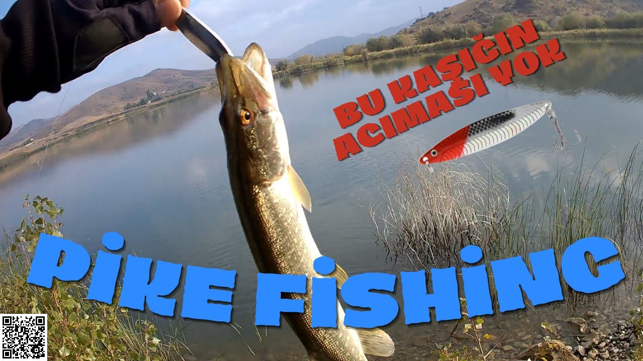 SABAH SUYU /TURNA AVI/PİKE FİSİNG- BU KAŞIK ÇOK AVCI.