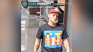 Information Police searching for man who threw sex toy during NY Liberty game, hitting 12-year-old girl in leg Guide