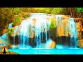 🔴 Study Music 24/7, Focus, Meditation, Concentration Music, Relaxing Music, Calm Music, Yoga, Study