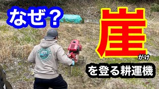 広い畑で管理機を使っている理由HondaパンチF503耕運機