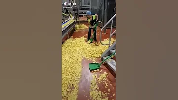 Chips Lays factory production (shock) Как делают чипсы на заводе (шокирующая правда) Лейс, Люкс