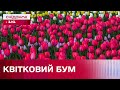 Актуальні ціни на квіти в розпал святкового ажіотажу