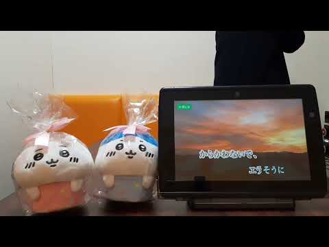 【工藤静香】慟哭歌ってみた　DAM