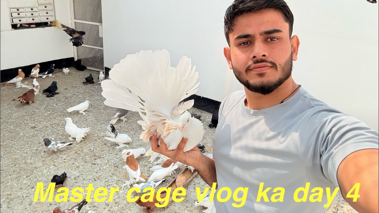 हमारे master cage vlog का दिन 4 😌