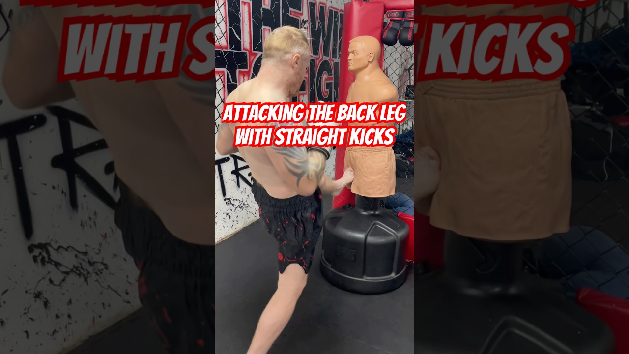 Атака задней ноги прямыми ударами ногой.